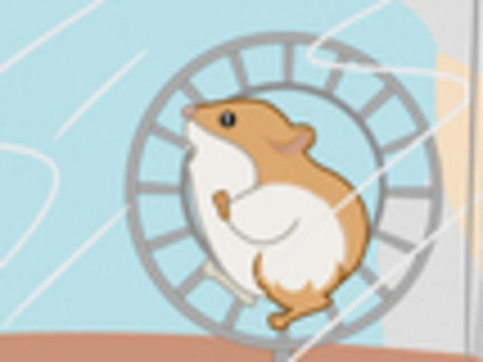 el domador de hamster